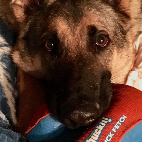 Hatchimom Live -host appreciation 11:20 am central - Picture 6 of 16